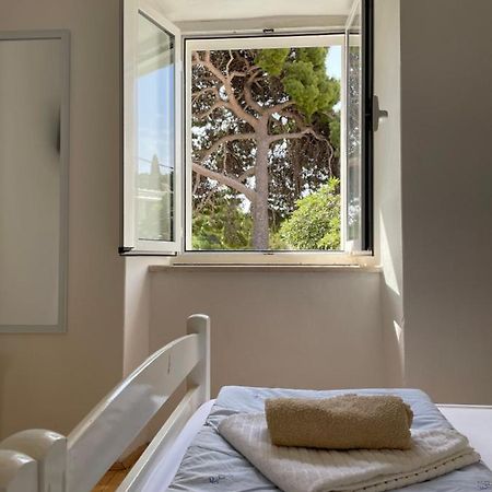 Tree Daire Dubrovnik Dış mekan fotoğraf