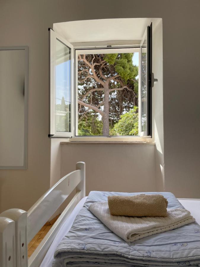 Tree Daire Dubrovnik Dış mekan fotoğraf